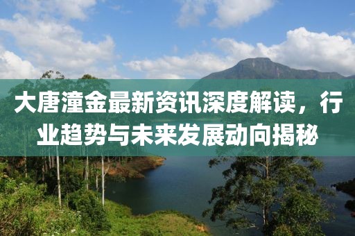 大唐潼金最新資訊深度解讀，行業(yè)趨勢與未來發(fā)展動向揭秘