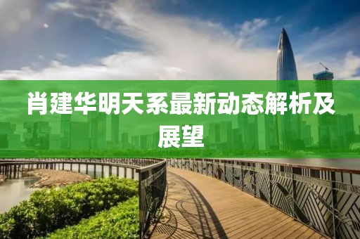 肖建華明天系最新動態(tài)解析及展望