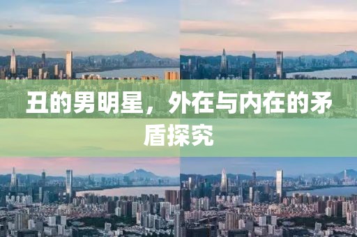 丑的男明星，外在與內(nèi)在的矛盾探究