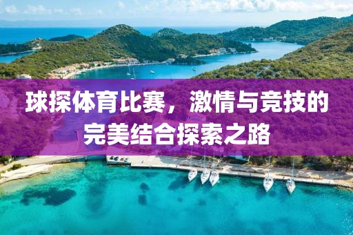 球探體育比賽，激情與競技的完美結(jié)合探索之路