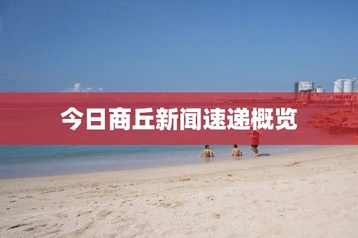 今日商丘新聞速遞概覽