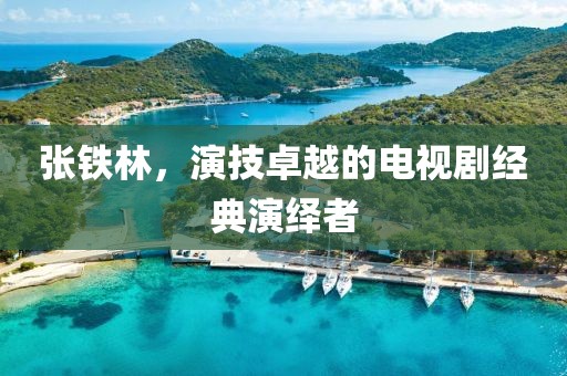 張鐵林，演技卓越的電視劇經(jīng)典演繹者