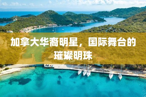 加拿大華裔明星，國(guó)際舞臺(tái)的璀璨明珠