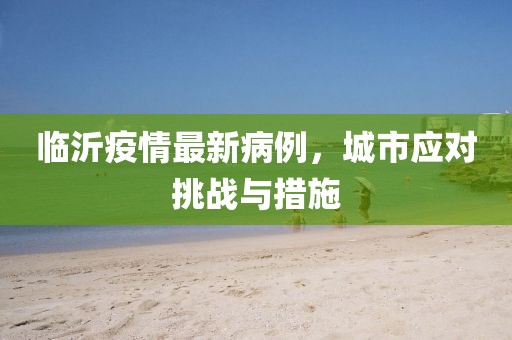 臨沂疫情最新病例，城市應(yīng)對(duì)挑戰(zhàn)與措施