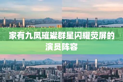 家有九鳳璀璨群星閃耀熒屏的演員陣容