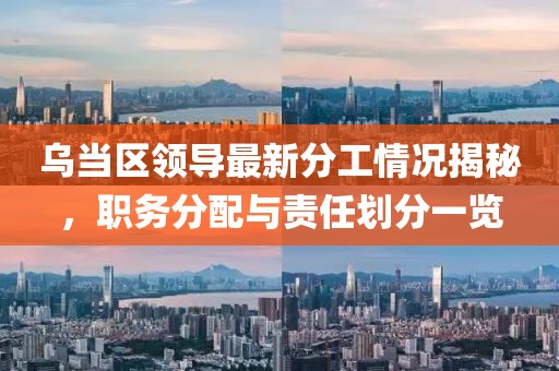 烏當(dāng)區(qū)領(lǐng)導(dǎo)最新分工情況揭秘，職務(wù)分配與責(zé)任劃分一覽