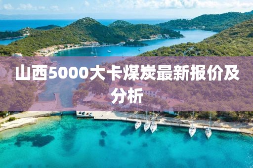 山西5000大卡煤炭最新報價及分析