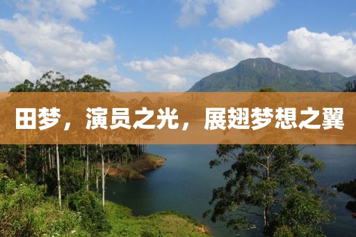 田夢，演員之光，展翅夢想之翼