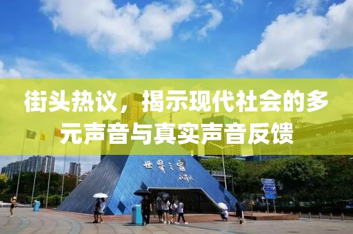 街頭熱議，揭示現(xiàn)代社會(huì)的多元聲音與真實(shí)聲音反饋