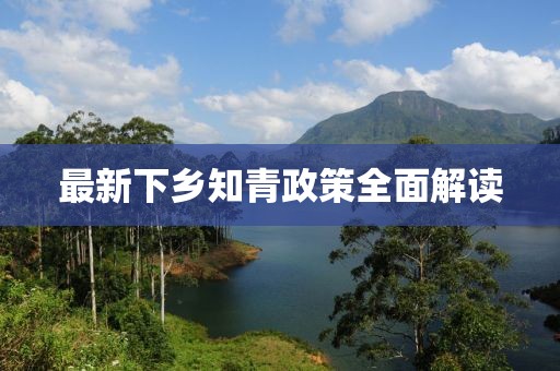 最新下鄉(xiāng)知青政策全面解讀