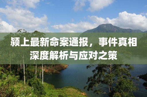 潁上最新命案通報，事件真相深度解析與應對之策