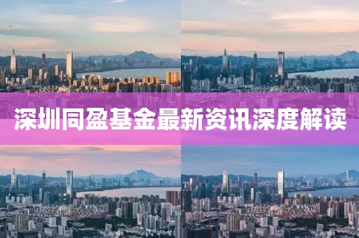 深圳同盈基金最新資訊深度解讀