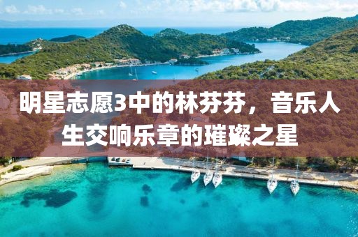 明星志愿3中的林芬芬，音樂人生交響樂章的璀璨之星