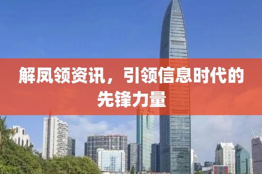 解鳳領資訊，引領信息時代的先鋒力量