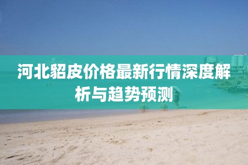 河北貂皮價格最新行情深度解析與趨勢預測