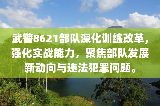 武警8621部隊(duì)深化訓(xùn)練改革，強(qiáng)化實(shí)戰(zhàn)能力，聚焦部隊(duì)發(fā)展新動向與違法犯罪問題。