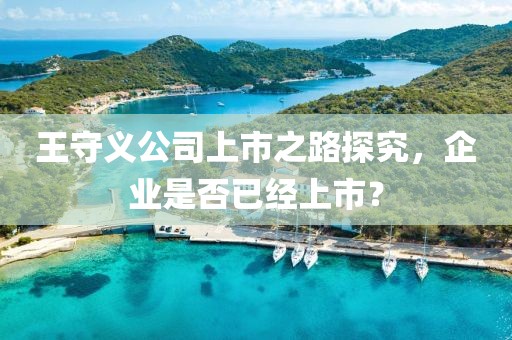 王守義公司上市之路探究，企業(yè)是否已經(jīng)上市？