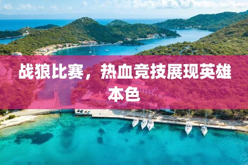 戰(zhàn)狼比賽，熱血競(jìng)技展現(xiàn)英雄本色