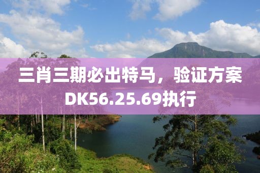 三肖三期必出特馬，驗證方案DK56.25.69執(zhí)行