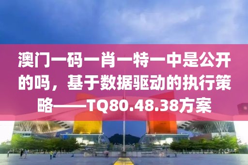 澳門一碼一肖一特一中是公開的嗎，基于數(shù)據(jù)驅(qū)動(dòng)的執(zhí)行策略——TQ80.48.38方案