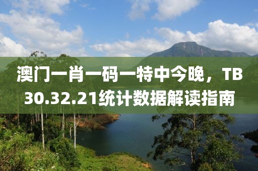 澳門(mén)一肖一碼一特中今晚，TB30.32.21統(tǒng)計(jì)數(shù)據(jù)解讀指南