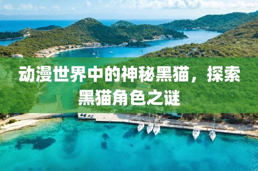 動(dòng)漫世界中的神秘黑貓，探索黑貓角色之謎