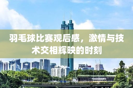羽毛球比賽觀后感，激情與技術(shù)交相輝映的時(shí)刻