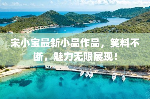 宋小寶最新小品作品，笑料不斷，魅力無限展現(xiàn)！