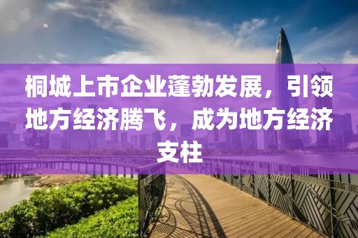 桐城上市企業(yè)蓬勃發(fā)展，引領(lǐng)地方經(jīng)濟(jì)騰飛，成為地方經(jīng)濟(jì)支柱
