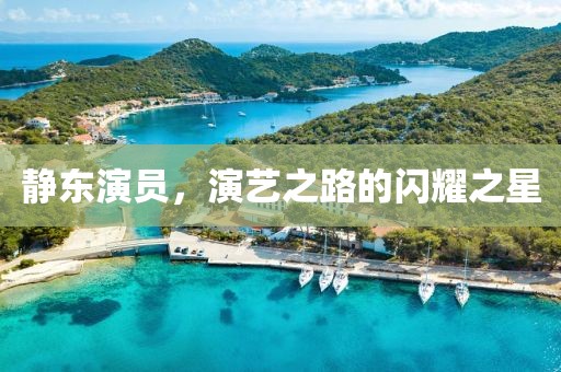 靜東演員，演藝之路的閃耀之星