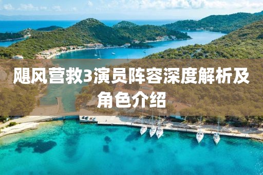 颶風營救3演員陣容深度解析及角色介紹