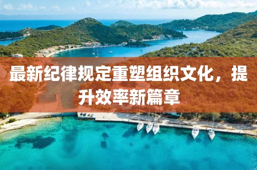最新紀(jì)律規(guī)定重塑組織文化，提升效率新篇章