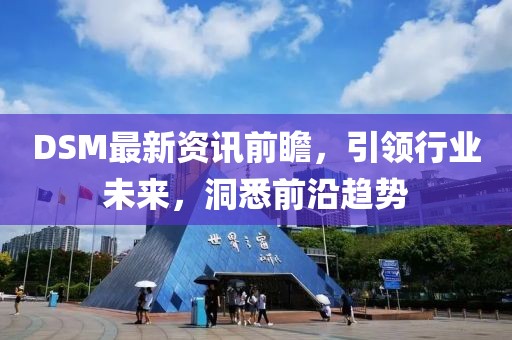 DSM最新資訊前瞻，引領(lǐng)行業(yè)未來，洞悉前沿趨勢