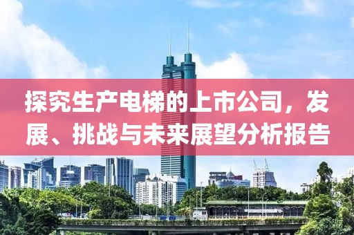 探究生產(chǎn)電梯的上市公司，發(fā)展、挑戰(zhàn)與未來展望分析報告