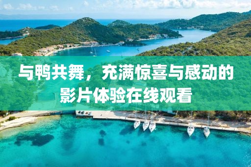 與鴨共舞，充滿驚喜與感動(dòng)的影片體驗(yàn)在線觀看