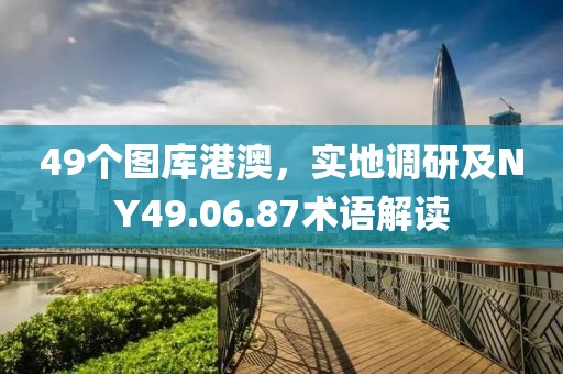 49個(gè)圖庫(kù)港澳，實(shí)地調(diào)研及NY49.06.87術(shù)語(yǔ)解讀