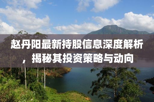 趙丹陽最新持股信息深度解析，揭秘其投資策略與動向