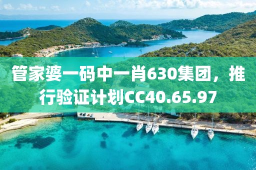 管家婆一碼中一肖630集團(tuán)，推行驗證計劃CC40.65.97