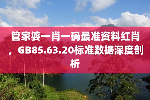 管家婆一肖一碼最準(zhǔn)資料紅肖，GB85.63.20標(biāo)準(zhǔn)數(shù)據(jù)深度剖析