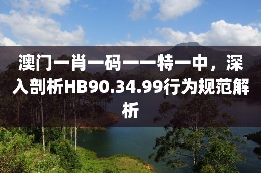 澳門一肖一碼一一特一中，深入剖析HB90.34.99行為規(guī)范解析