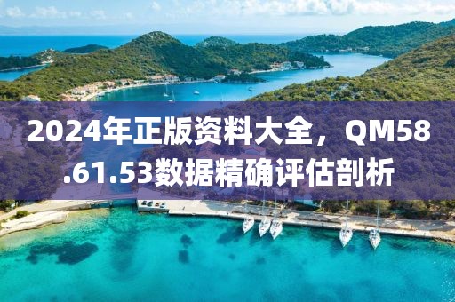 2024年正版資料大全，QM58.61.53數(shù)據(jù)精確評(píng)估剖析