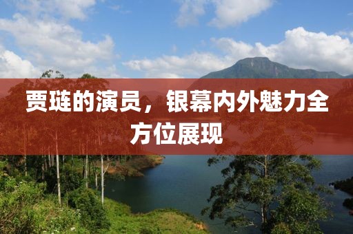 賈璉的演員，銀幕內(nèi)外魅力全方位展現(xiàn)