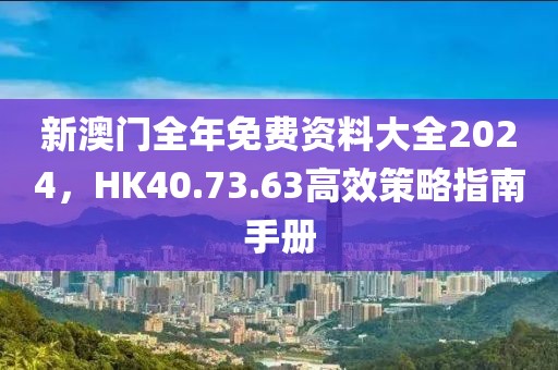 新澳門全年免費(fèi)資料大全2024，HK40.73.63高效策略指南手冊