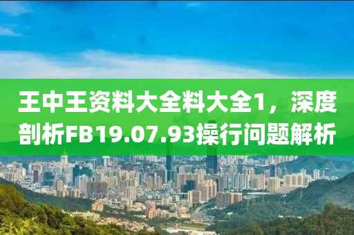 王中王資料大全料大全1，深度剖析FB19.07.93操行問題解析