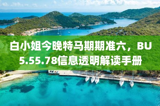白小姐今晚特馬期期準(zhǔn)六，BU5.55.78信息透明解讀手冊(cè)