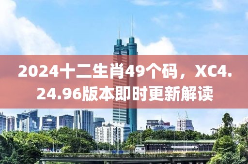 2024十二生肖49個碼，XC4.24.96版本即時更新解讀