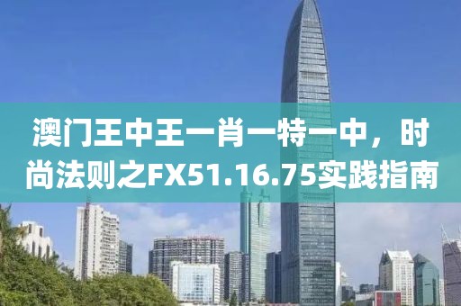 澳門王中王一肖一特一中，時尚法則之FX51.16.75實踐指南