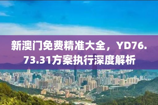 新澳門免費(fèi)精準(zhǔn)大全，YD76.73.31方案執(zhí)行深度解析