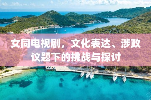 女同電視劇，文化表達、涉政議題下的挑戰(zhàn)與探討
