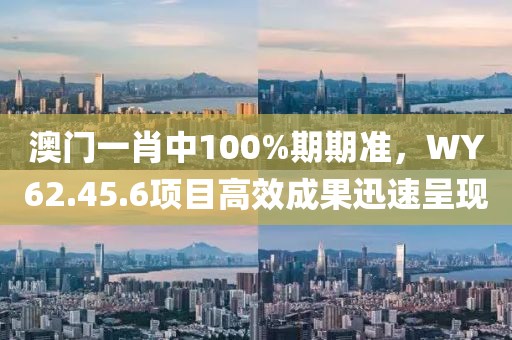 澳門一肖中100%期期準，WY62.45.6項目高效成果迅速呈現(xiàn)